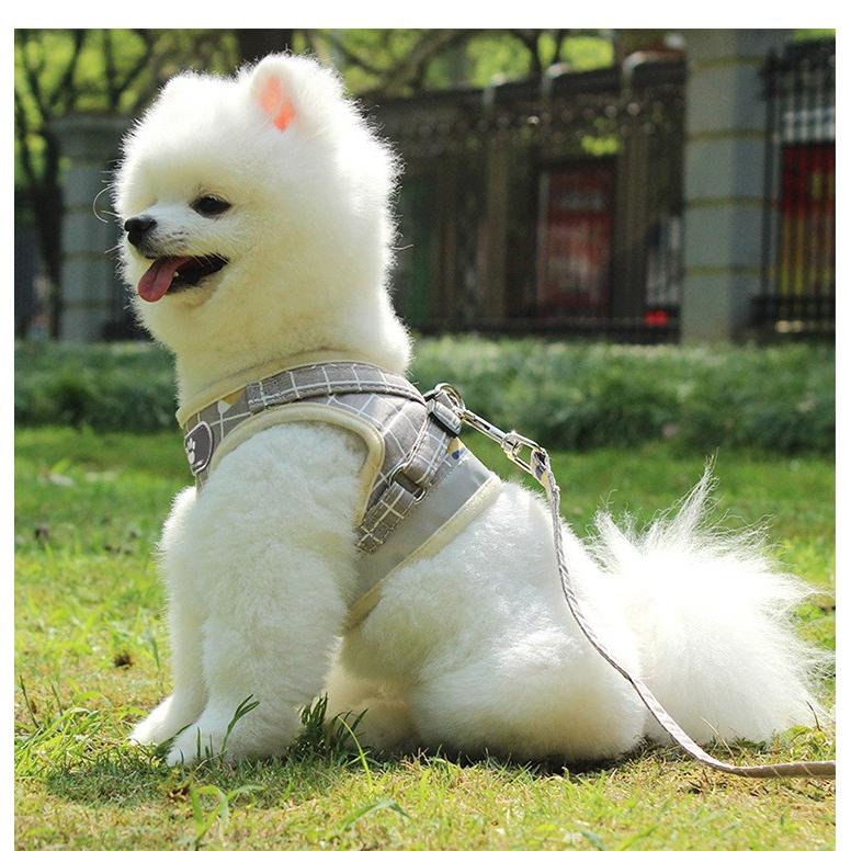 ペット用ハーネス リードセット 胴輪 可愛い 小型犬 簡単装着 メッシュ 犬 ハーネス おしゃれ P021 Atou Dsplay 通販 Yahoo ショッピング