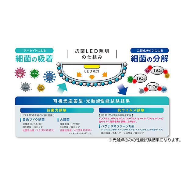 LED仮設照明　テラスタンド　仮設LED投光器　光触媒　電源不要バッテリー式　本体・バッテリーセット　抗菌　バルーンライト