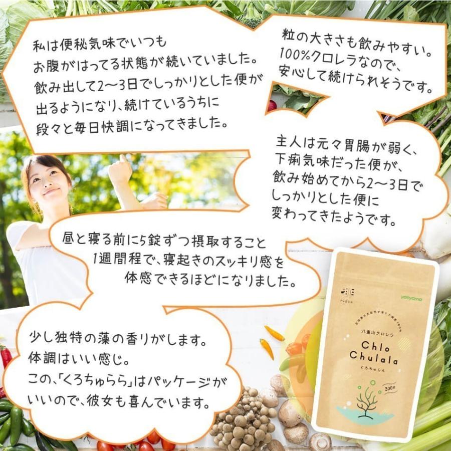 hidox 八重山クロレラ 100％ クロレラ サプリ 300粒 3個セット 無添加 