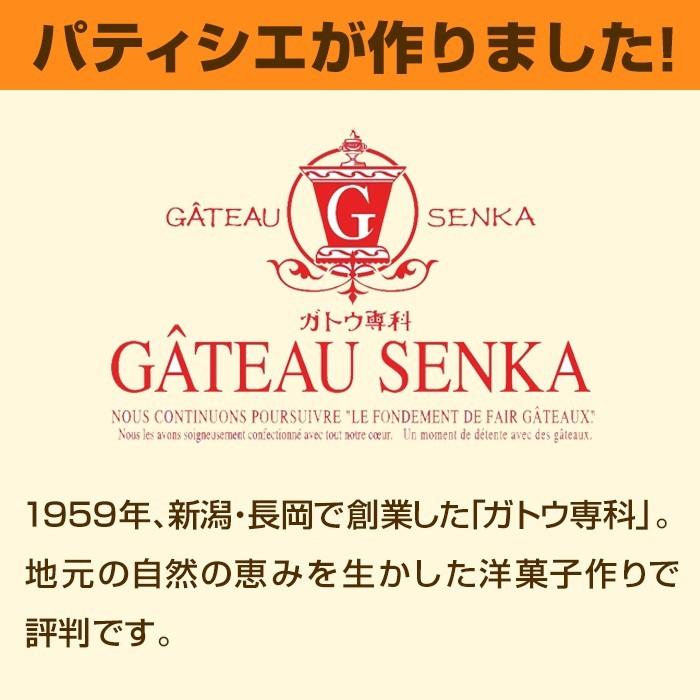 （お買い得品 48箱セット/ケース）尾西のライスクッキー ココナッツ風味 8枚入（賞味期限2026年1月~）長期保存｜atrescue｜07