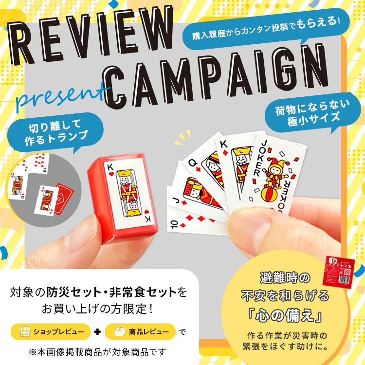 LA・PITA 防災セット ラピタプレミアム 2人用 防災用品 非常用持ち出し