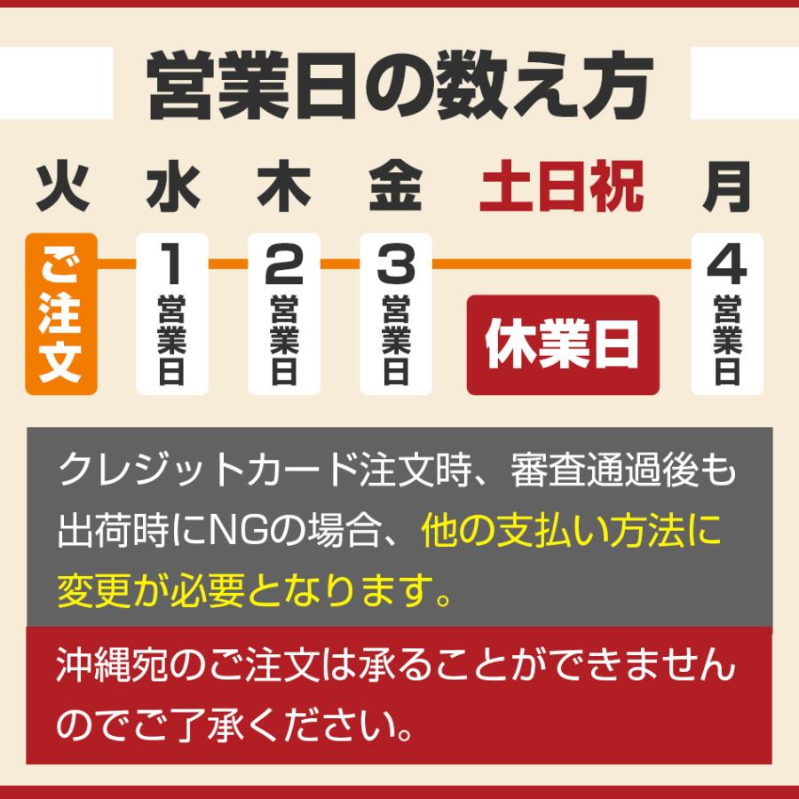 ものすごい 防災セット 3人用 ターポリン・キャリー採用 【M・L】キャリータイプ 非常用持ち出し袋 5年保存 非常食 レビュープレゼント_18
