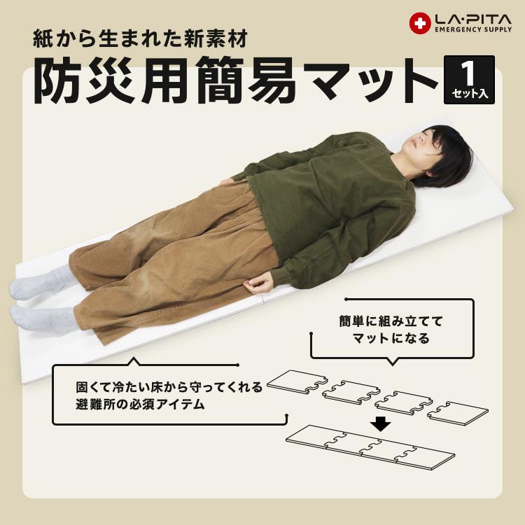 かわいい~!」 厳選防災グッズ AIR GOLON Fプラス エアーゴロン 不織布一体型 防災用エアーマット 災害時 緊急避難用 厳選防災グッズ AIR GOLON Fプラス エアーゴロン 不織布一体型 防災用エアーマット 災害時 緊急避難用