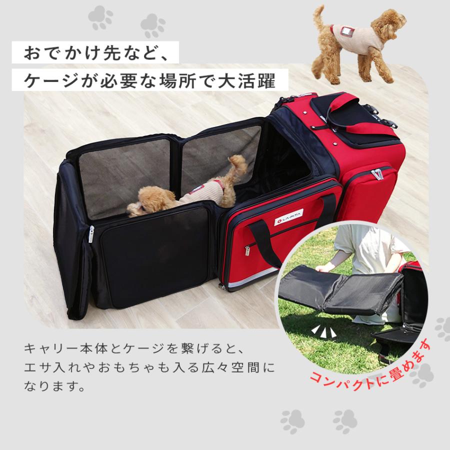 （7,000円以上購入者限定 30%off！）ペットリュック 運べるお部屋  キューブroom【犬 猫 折りたたみ 折りたためる ケージ  ペットハウス 軽量 避難 小型】｜atrescue｜04