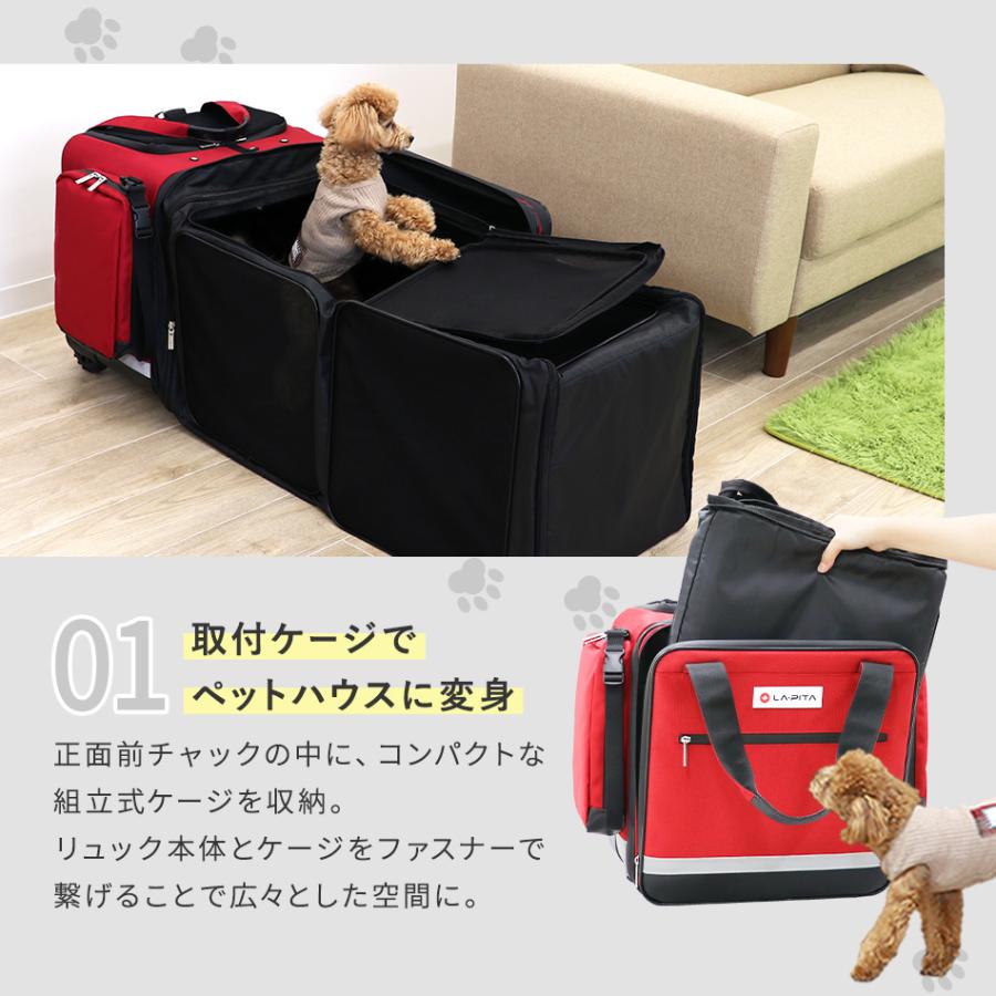 7,000円以上購入者限定 30%off！）ペットリュック 運べるお部屋