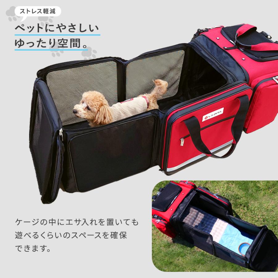 7,000円以上購入者限定 30%off！）ペットリュック 運べるお部屋
