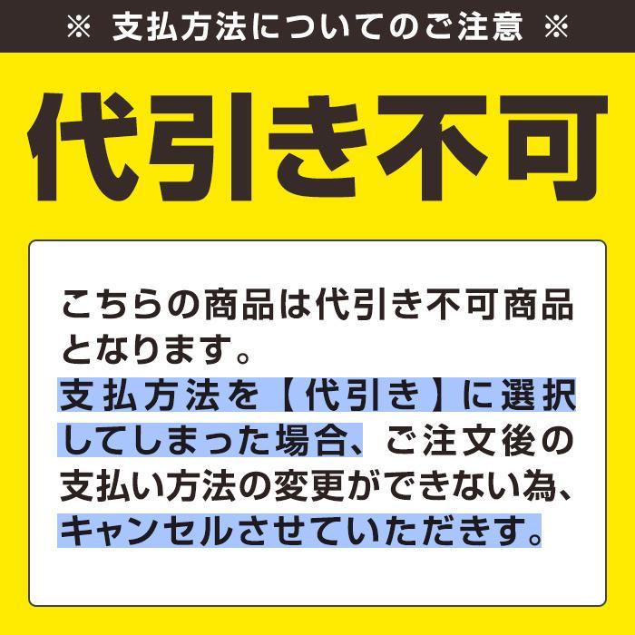 サンエイ　多機能クリアーメガホン（防災マルチライト Bタイプ ３色灯）【メーカー直送：代引不可】　爆買_14