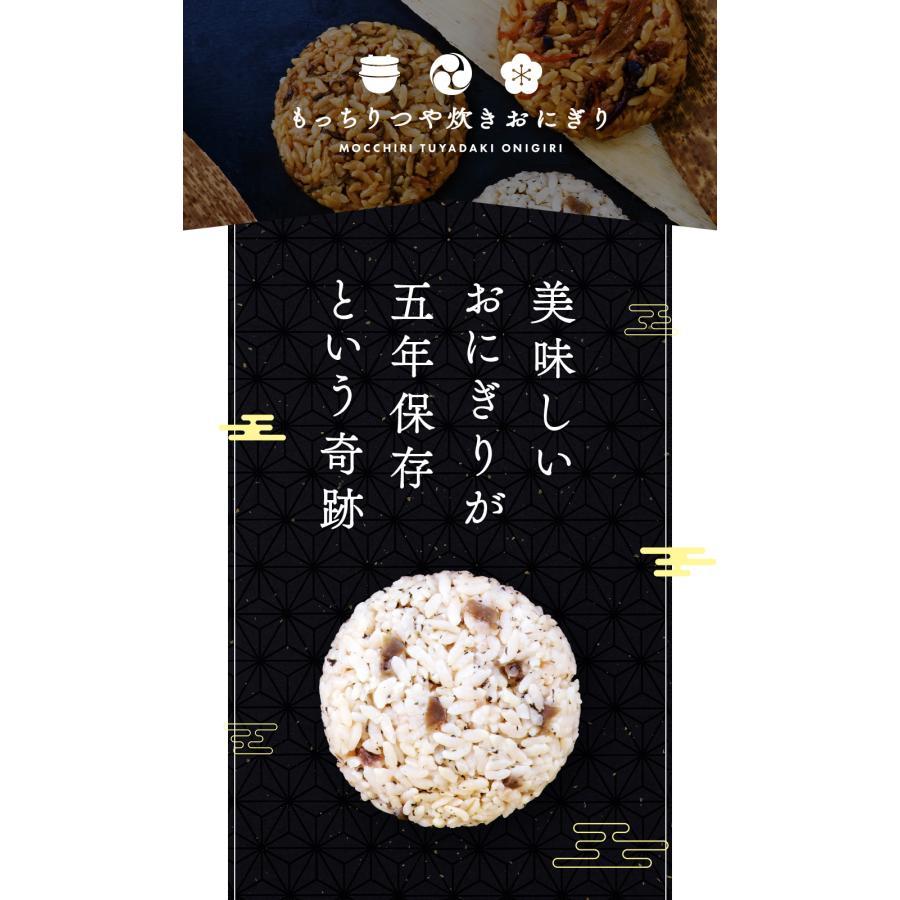 LA・PITA 非常食おにぎり食べくらべ12食セット【送料無料】【 5年保存 