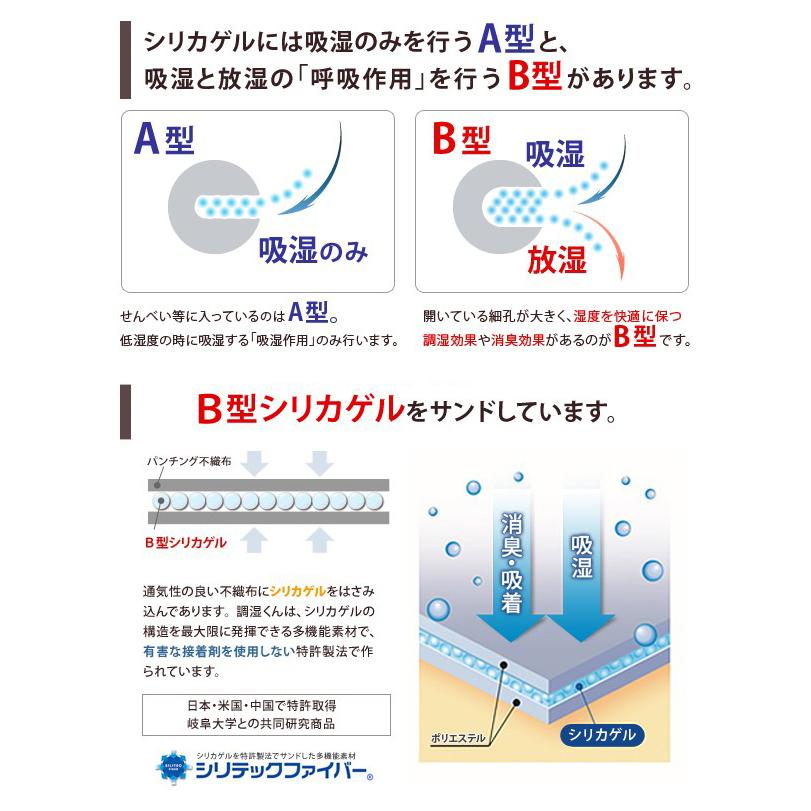 セミシングル 除湿シート 洗える 除湿シート 防ダニ 吸湿マット 吸湿シート 湿気取りマット 【アレルキャッチャータイプ】 セミシングルサイズ2枚セット 湿気取りシート