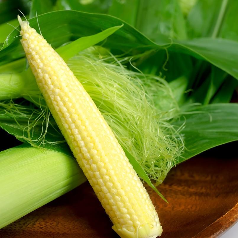 ヤングコーン 皮付き きみひめ スイートコーン 山梨県産 30本 新鮮直送 とうもろこし