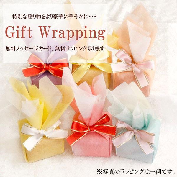 プラチナ ネックレス メンズ トップ pt900 フェザー 羽 ペンダントトップ シンプル 男性 人気 送料無料 セール SALE ネックレス メンズ pt900 ペンダントトップ 人気 送料無料 プラチナ900