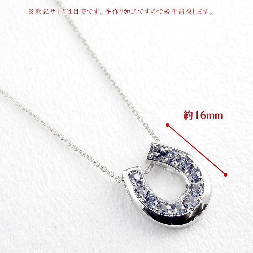 ジュエリー工房アトラス プラチナ ネックレス トップ メンズ 馬蹄