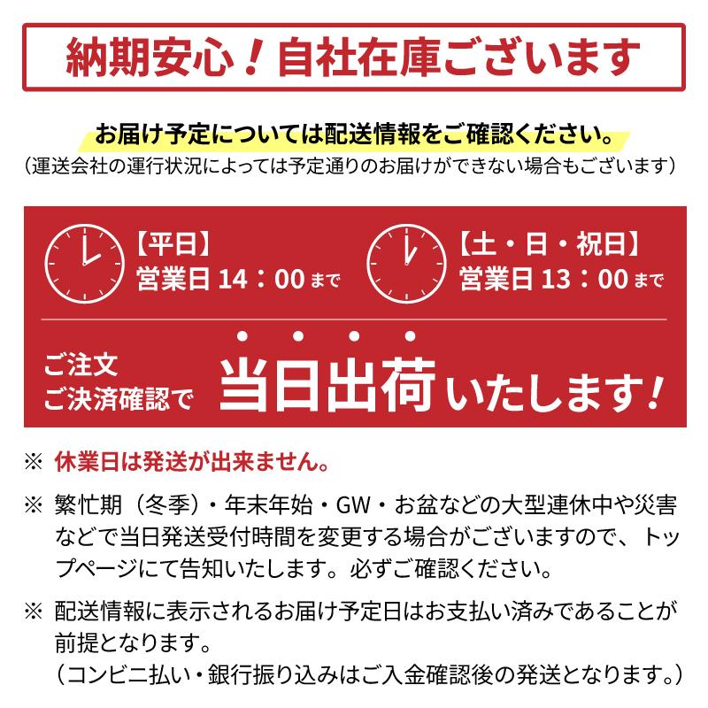 2025年製 REGNO GR-XIII TYPE RV 215/50R17 95V XL 【4本セット】 ブリヂストン レグノ サマータイヤ GR-X3 タイプRVの画像