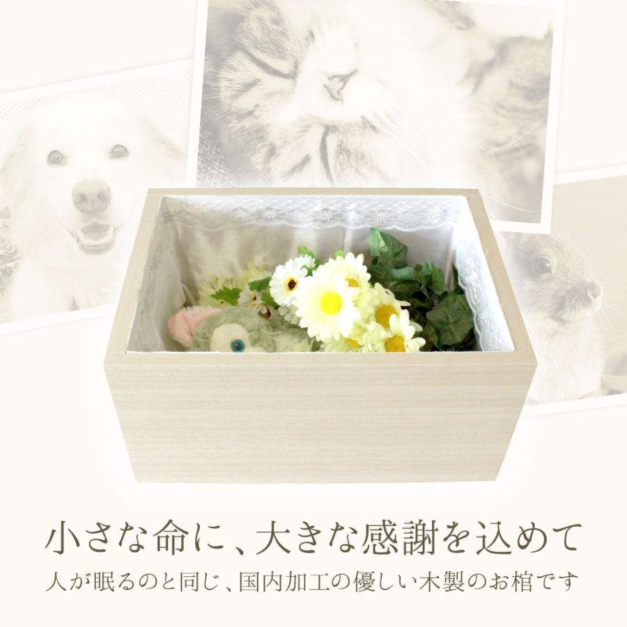 小型ペット専用棺 ペット用 ミニ ペット 棺 紙製 窓付き 小動物 【送料無料】 即日