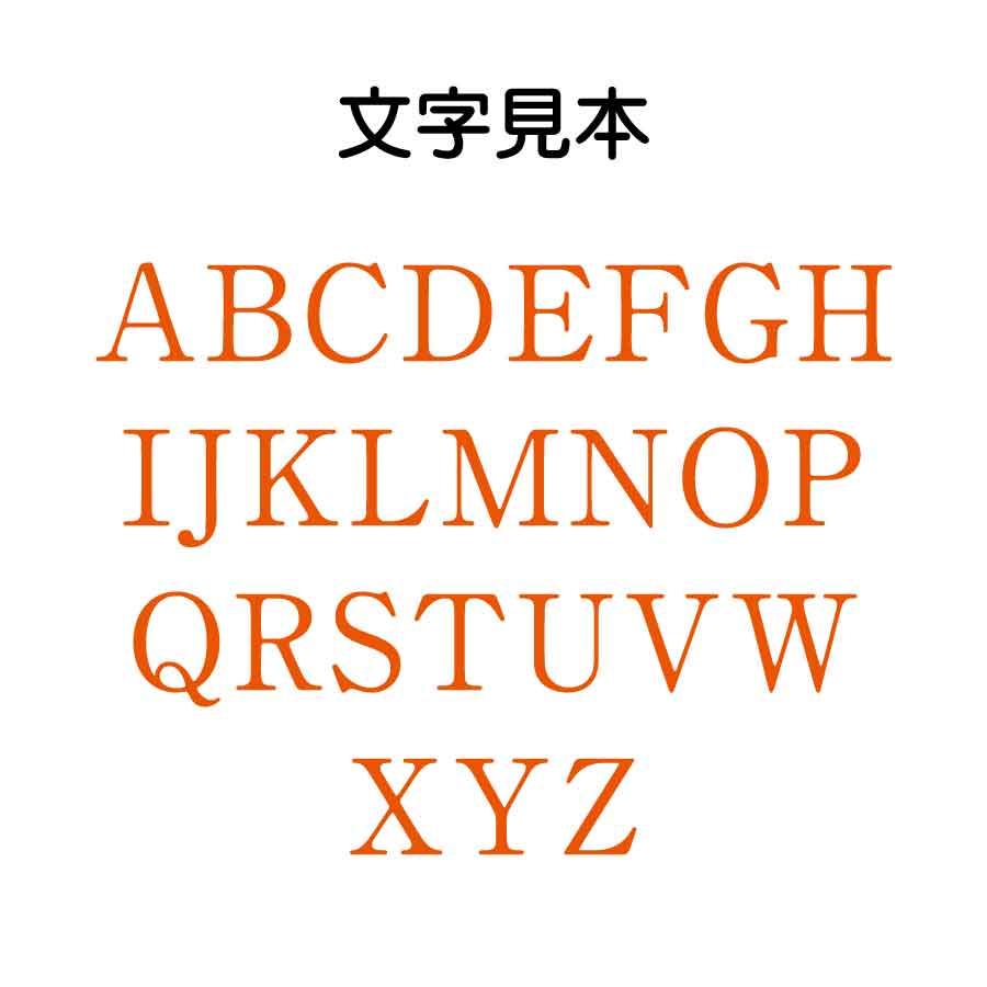 一文字スタンプ 明朝体 アルファベット大文字 ミニスタンプ 直径10mm枠