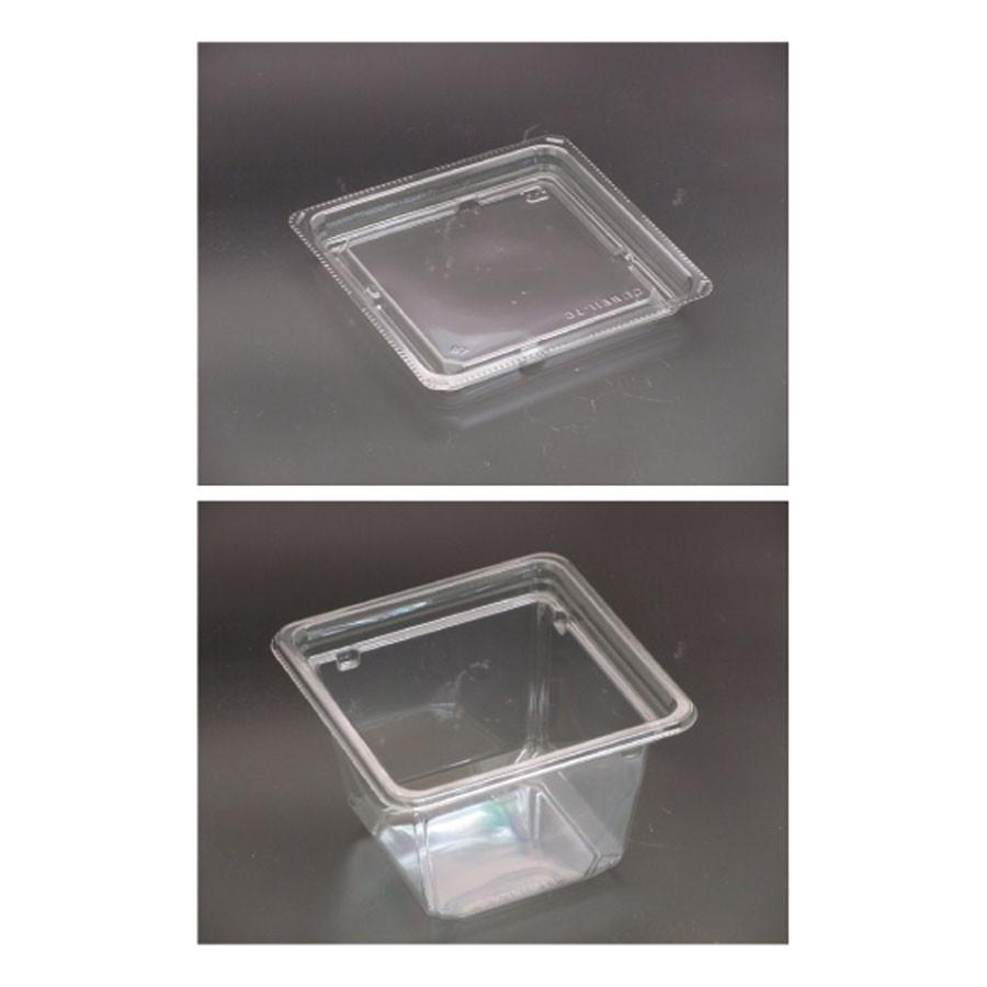 惣菜容器　本体+蓋900セット　105x105x70mm ※電子レンジ不可 バイオカップ キューブ11-70B(E) セット ※沖縄・離島 送料別途　※代引き不可商品