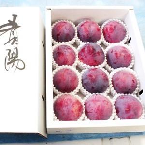 早期ご予約 お中元 山梨県産すもも 高級プラム 貴陽 10個〜14個
