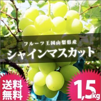 シャインマスカット 山梨県勝沼産の高級ぶどう 皮ごと食べられる種なし