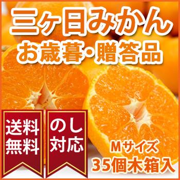高級みかん(木箱) 静岡県産 三ヶ日みかん 早生 青島 特選Mサイズ35個