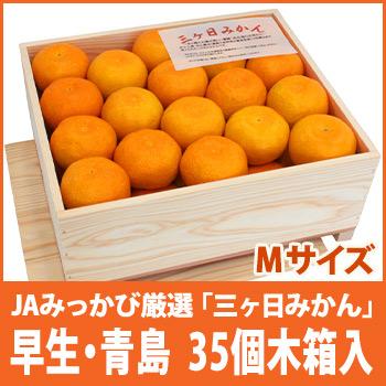 高級みかん(木箱) 静岡県産 三ヶ日みかん 早生 青島 特選Mサイズ35個