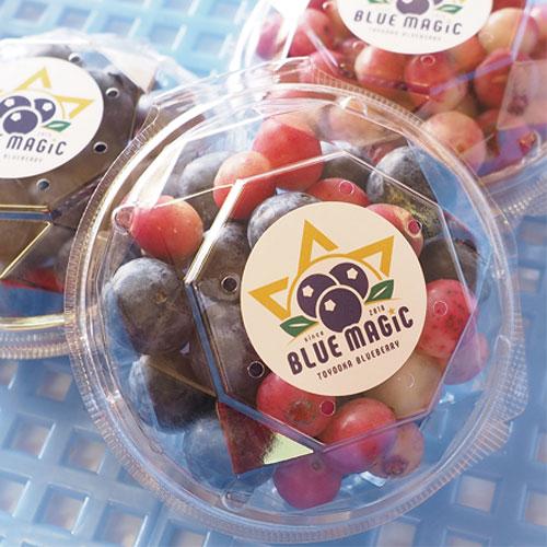 送料無料 限定販売 「 特大粒 国産 高級 無添加  ブルーベリー 品種MIX 約480g （1箱4パック入）」 （クール便限定） 生食用 千葉県産 ハウス栽培 |  | 02