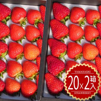 食品 【限定】八ヶ岳産 いちご 約240g x 4パック/箱 ※残留農薬未検出