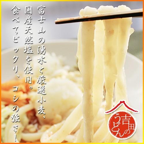 山梨 吉田のうどん 詰合せ(2人前280g×5パック 専用つゆ すりだね入り