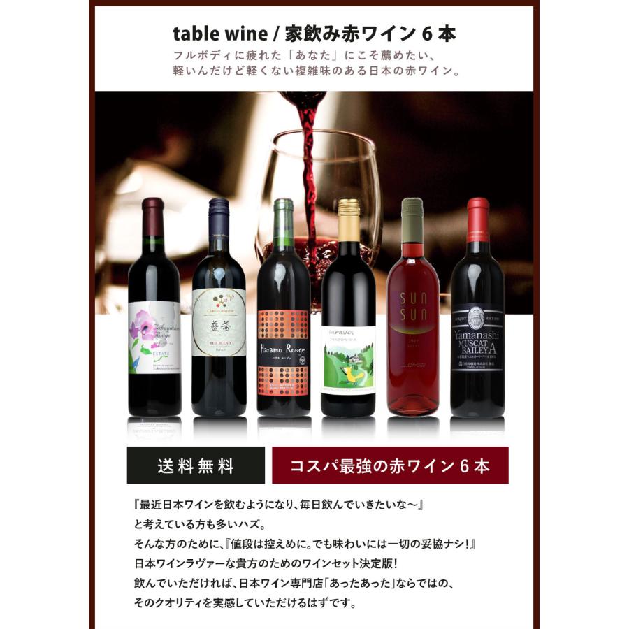 送料無料 「家飲み・赤ワイン 6本セット」 ワインセット 赤ワイン 日本