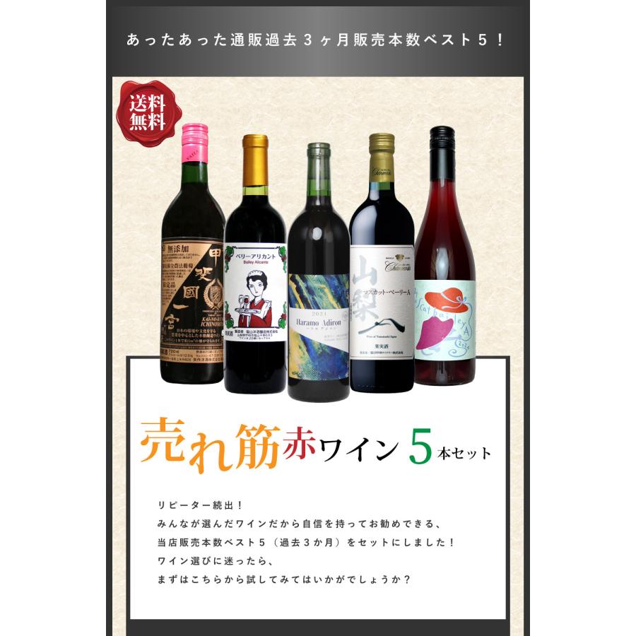 送料無料 「過去3ヶ月 売れ筋・赤ワイン 5本セット」 ワインセット