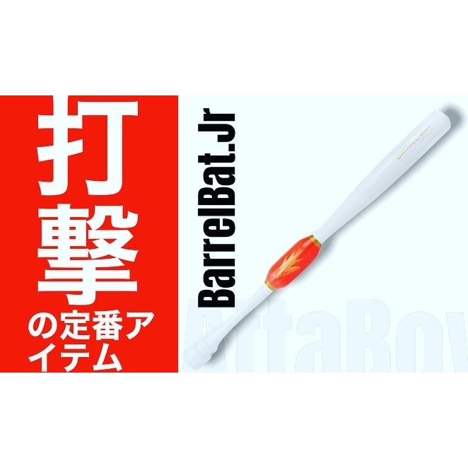 バレルバット】 メジャー球団でも採用されているトレーニング バレルバット】 メジャー球団でも採用されているトレーニング