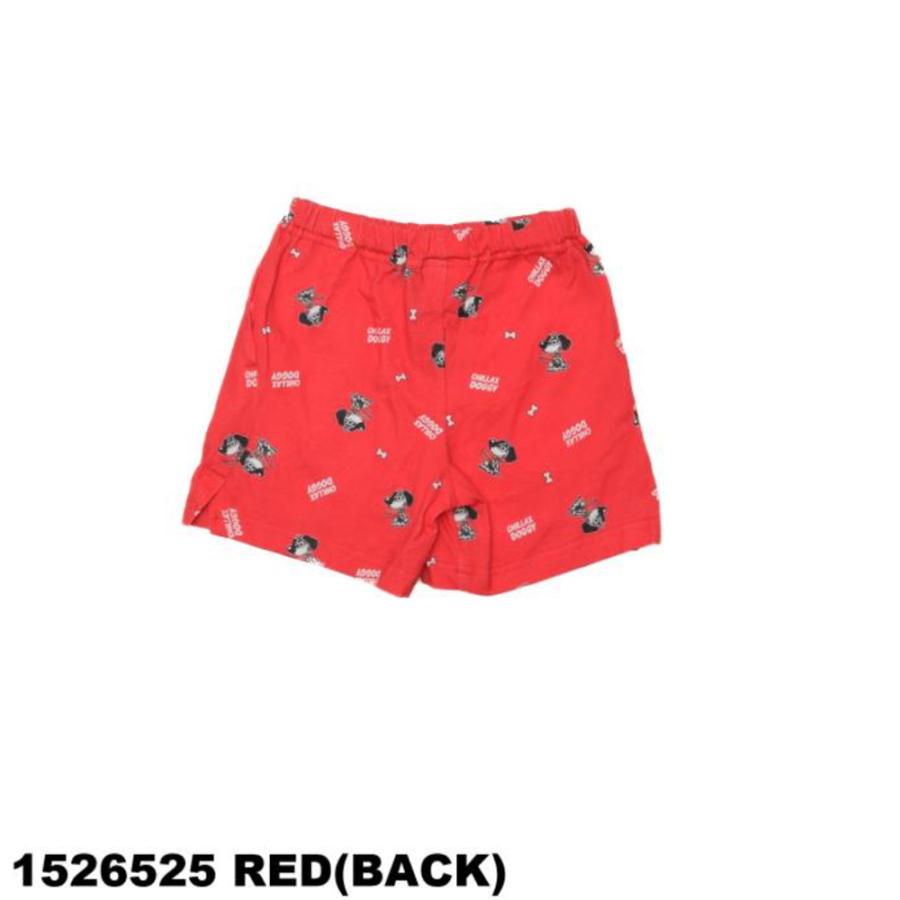 ●30%OFFセール● ニードルワーク （NEEDL WORK）  ダルメシアン インクジェットプリントショーツ （ 130 140 150 ） 子ども服 ジュニア 小学生 | OFFICIAL TEAM | 03