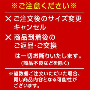 20％OFF ダブルビー　ミキハウス　mikihouse　新春福袋　2万円　男の子（80cm・90cm・100cm・110cm・120cm・130cm）【2024福袋】｜attackone｜03