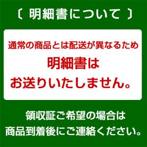 【メーカー公式】ホットビスケッツ　ミキハウス　mikihouse　新春福袋　2万円　男の子・女の子（80cm・90cm・100cm・110cm・120cm）【2024 福袋】｜attackone｜04