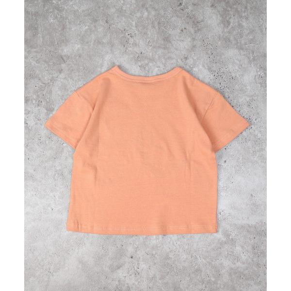 ディラッシュ　DILASH　恐竜　半袖　Tシャツ(110・120・130）子ども服　小学生　キッズ　男の子　男子　ティラノサウルス　オシャレ　ポップ　DL25ES110 | DILASH | 05