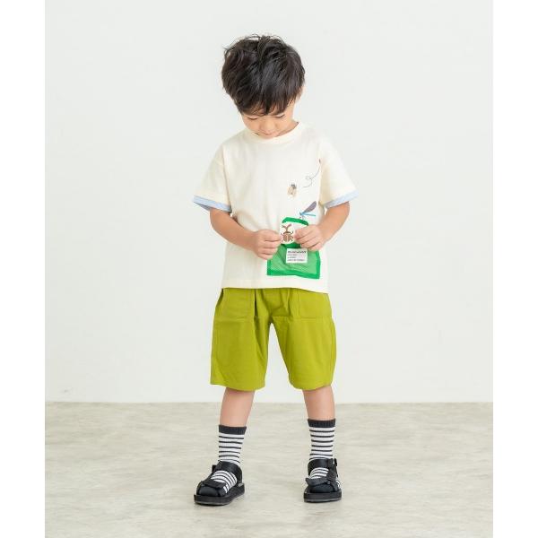 ディラッシュ　DILASH　昆虫　半袖　Tシャツ(90・100・110・120）子ども服　幼児　幼稚園　保育園　男の子　虫　てんとう虫　セミ　カブトムシ　トンボ | DILASH | 01