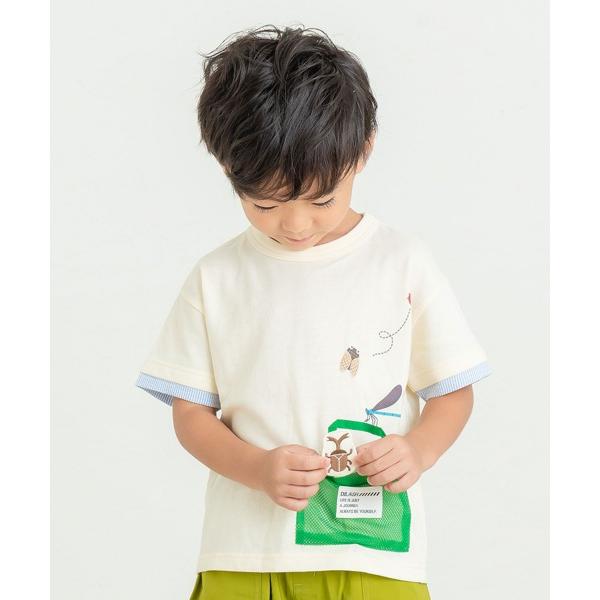 ディラッシュ　DILASH　昆虫　半袖　Tシャツ(90・100・110・120）子ども服　幼児　幼稚園　保育園　男の子　虫　てんとう虫　セミ　カブトムシ　トンボ | DILASH | 02
