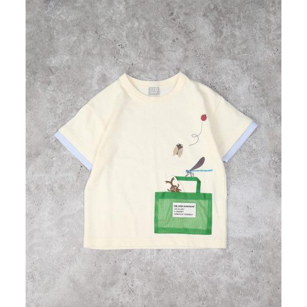 ディラッシュ　DILASH　昆虫　半袖　Tシャツ(90・100・110・120）子ども服　幼児　幼稚園　保育園　男の子　虫　てんとう虫　セミ　カブトムシ　トンボ | DILASH | 03