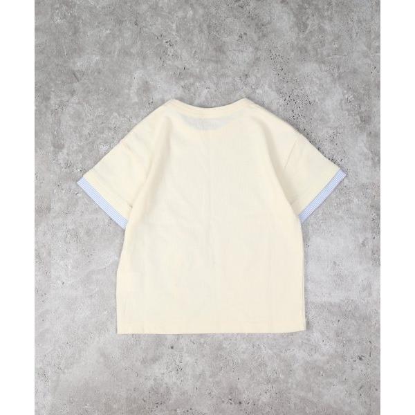 ディラッシュ　DILASH　昆虫　半袖　Tシャツ(90・100・110・120）子ども服　幼児　幼稚園　保育園　男の子　虫　てんとう虫　セミ　カブトムシ　トンボ | DILASH | 04