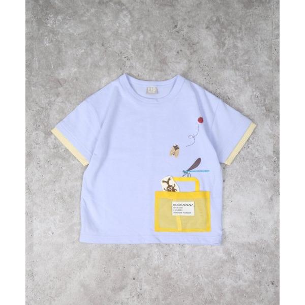 ディラッシュ　DILASH　昆虫　半袖　Tシャツ(90・100・110・120）子ども服　幼児　幼稚園　保育園　男の子　虫　てんとう虫　セミ　カブトムシ　トンボ | DILASH | 05