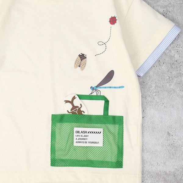 ディラッシュ　DILASH　昆虫　半袖　Tシャツ(90・100・110・120）子ども服　幼児　幼稚園　保育園　男の子　虫　てんとう虫　セミ　カブトムシ　トンボ | DILASH | 06