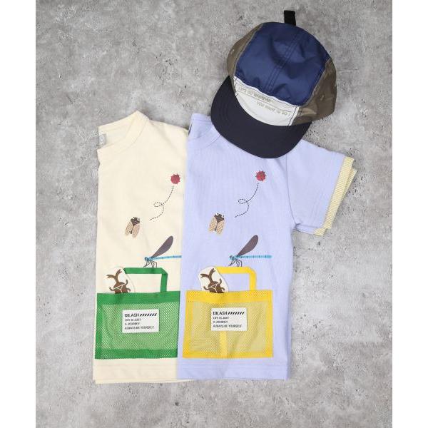 ディラッシュ　DILASH　昆虫　半袖　Tシャツ(90・100・110・120）子ども服　幼児　幼稚園　保育園　男の子　虫　てんとう虫　セミ　カブトムシ　トンボ | DILASH | 08