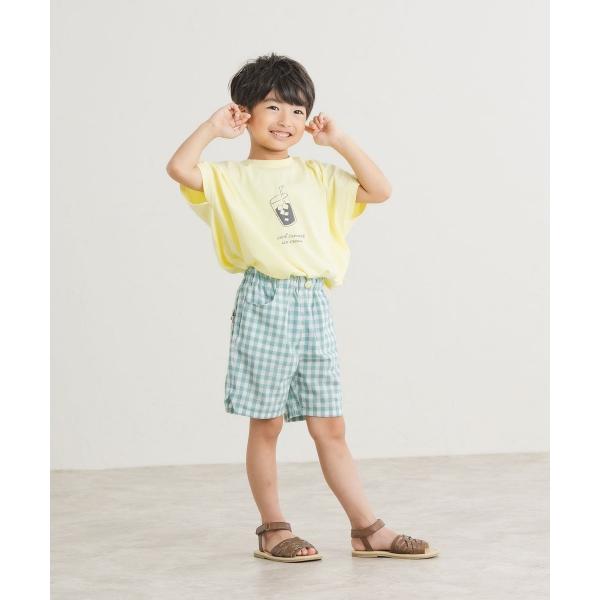 ディラッシュ　DILASH　フレンチスリーブ　Tシャツ 半袖 (110・120・130・140） キッズ　ジュニア　小学生　男の子　綿100　ベージュ　イエロー　DL25MS001 | DILASH | 01