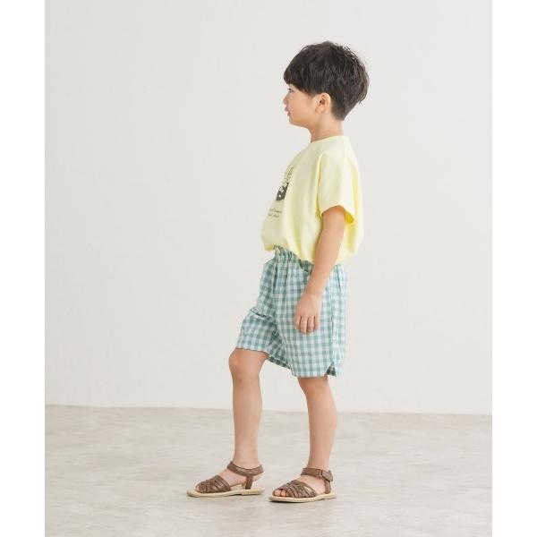 ディラッシュ　DILASH　フレンチスリーブ　Tシャツ 半袖 (110・120・130・140） キッズ　ジュニア　小学生　男の子　綿100　ベージュ　イエロー　DL25MS001 | DILASH | 02