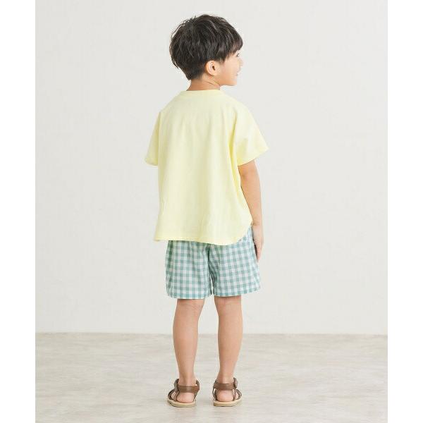 ●50％OFFセール●ディラッシュ　DILASH　フレンチスリーブ　Tシャツ 半袖 (110・120・130・140） キッズ　ジュニア　小学生　男の子　綿100　ベージュ　イエロ | DILASH | 03