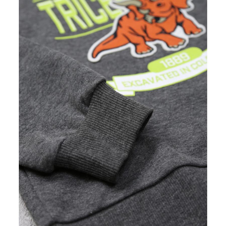 ●50％OFFセール●  ディラッシュ DILASH トリケラトプストレーナー ( 90 100 110 120 ) 長袖 男の子 女の子 キッズ ジュニア アウトレット | DILASH | 06