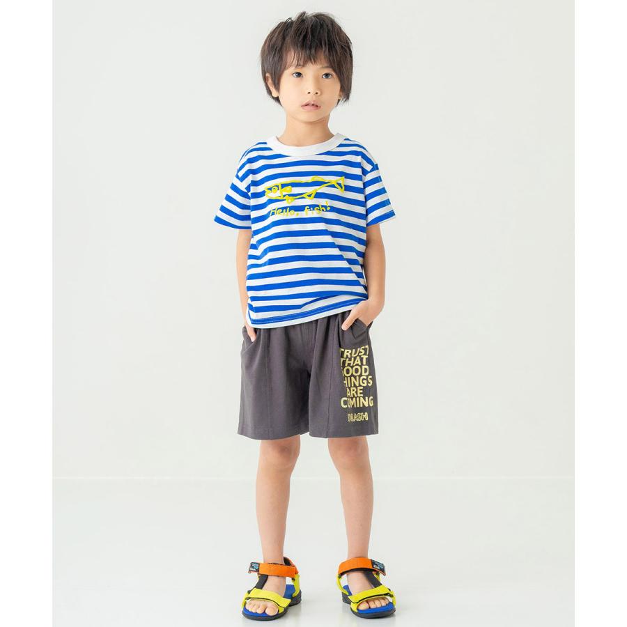 ディラッシュ DILASH 【綿100％】 ボーダー半袖Tシャツ ( 90 100 110 120 ) 子ども服 キッズ ジュニア 男の子 女の子 | DILASH | 13