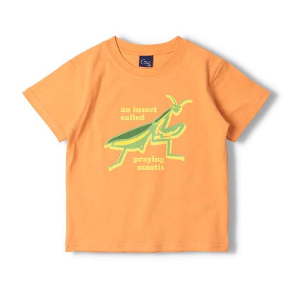 ●40％OFFセール●クレセント　crescent　昆虫 プリント 半袖 Tシャツ シンプル カジュアル 通園 (90cm・100cm）アウトレット 子ども服 幼稚園 保育園 男の子 |  | 01