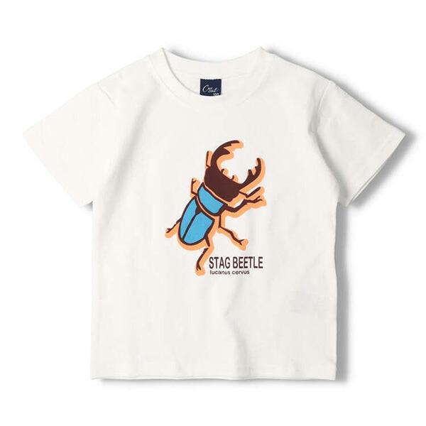 ●40％OFFセール●クレセント　crescent　昆虫 プリント 半袖 Tシャツ シンプル カジュアル 通園 (90cm・100cm）アウトレット 子ども服 幼稚園 保育園 男の子 |  | 04