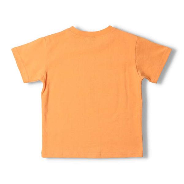 ●40％OFFセール●クレセント　crescent　昆虫 プリント 半袖 Tシャツ シンプル カジュアル 通園 (90cm・100cm）アウトレット 子ども服 幼稚園 保育園 男の子 |  | 05