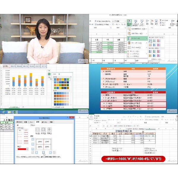 誰でもわかる Microsoft Excel2013 下巻 演習ファイル付｜attain-store｜05